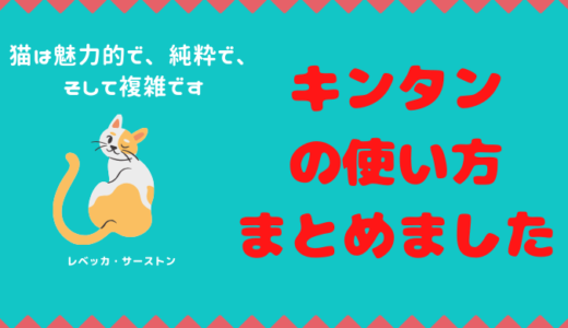 1分でわかる！キンタンの使い方